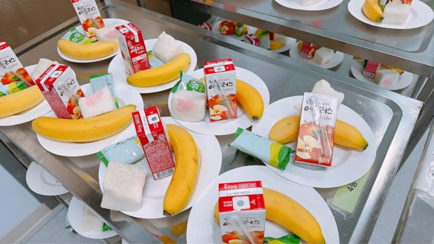 행사 사진